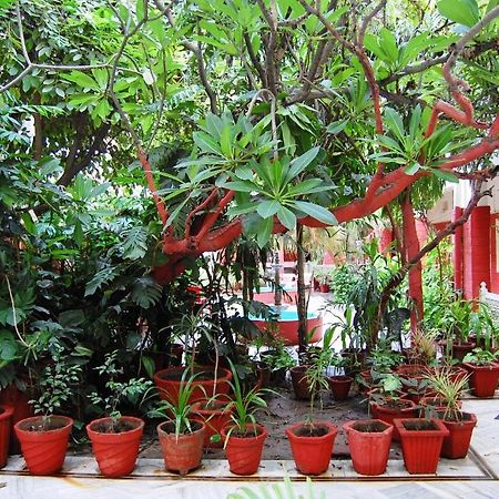 Hotel Tourist Rest House Agra Agra  Buitenkant foto