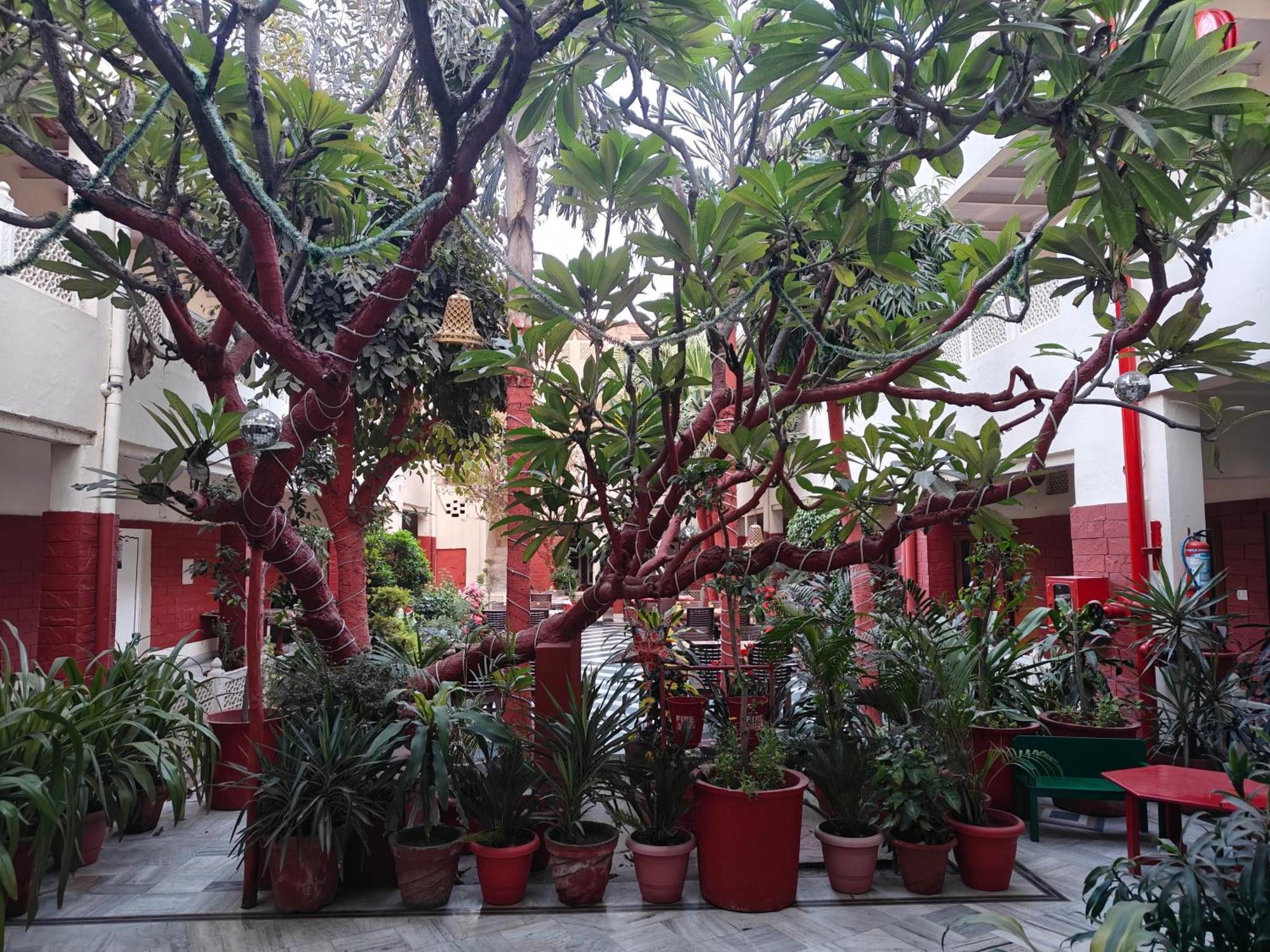 Hotel Tourist Rest House Agra Agra  Buitenkant foto