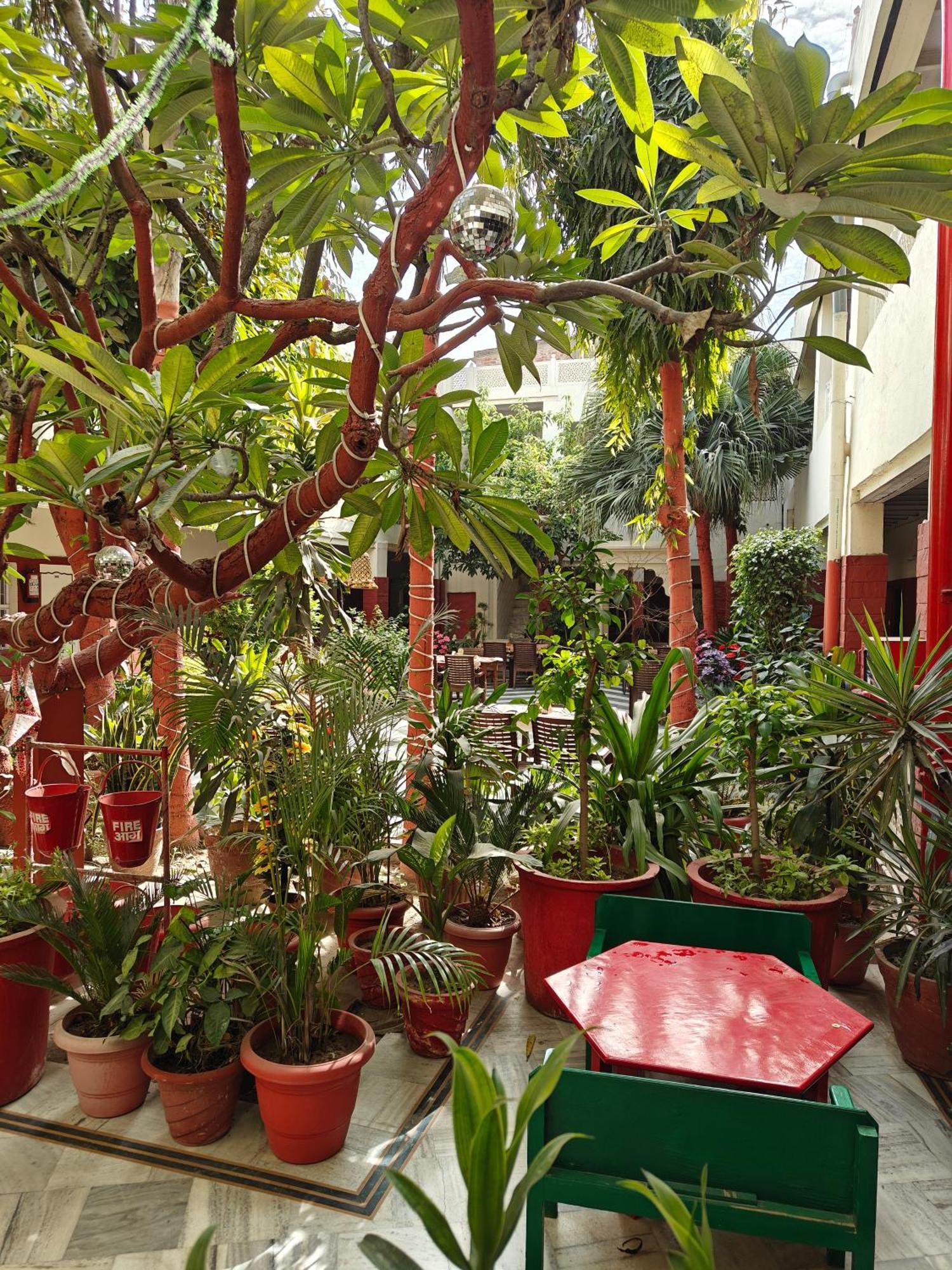 Hotel Tourist Rest House Agra Agra  Buitenkant foto