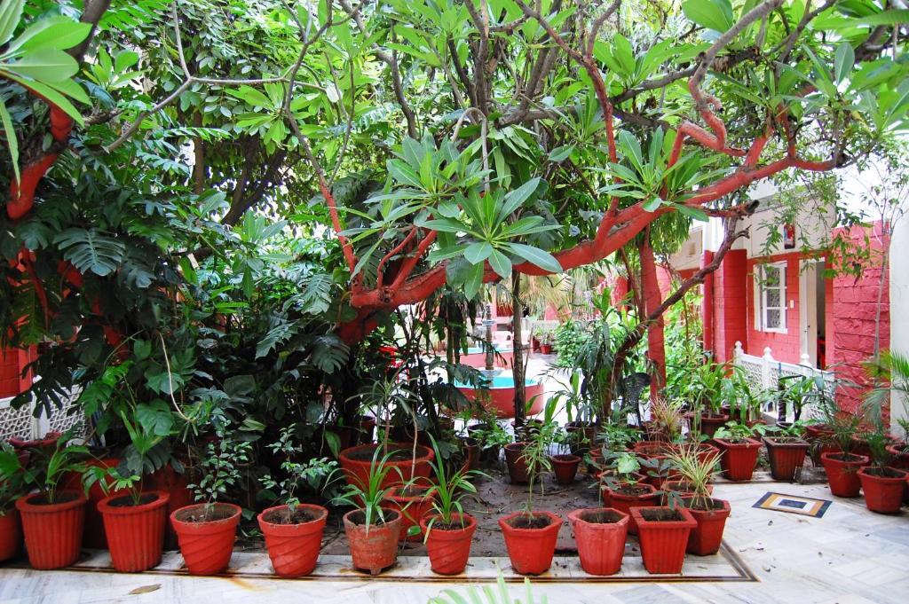 Hotel Tourist Rest House Agra Agra  Buitenkant foto