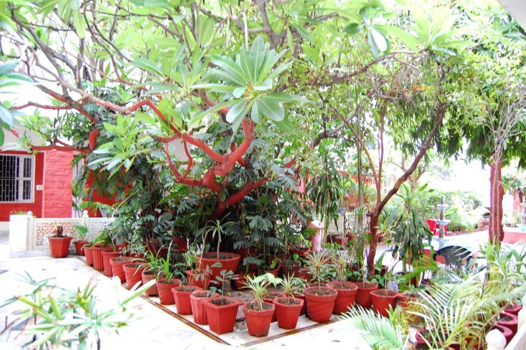 Hotel Tourist Rest House Agra Agra  Buitenkant foto