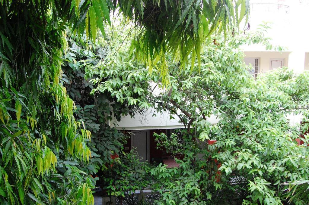 Hotel Tourist Rest House Agra Agra  Buitenkant foto